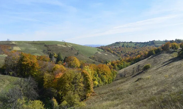 Muntii Almăjului (https banatulmontan.wordpress.com)